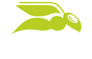 Hornetsecurity